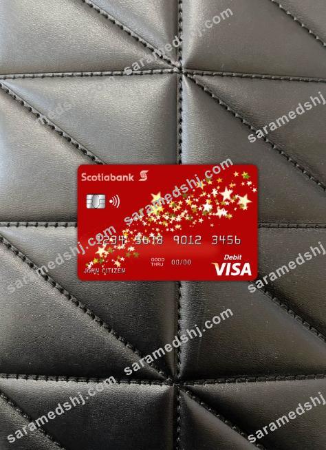 Bahamas Scotia bank visa card photolook front